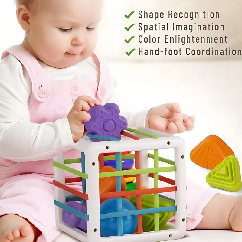 Montessori Shape Discovery Box